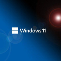 Windows 11 21H2 商业版 简体中文 64位