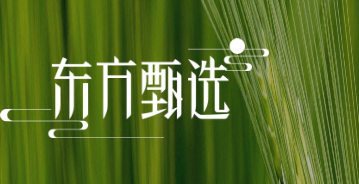 东方甄选公告：9月9日斥资705.57万港元回购57.3万股，每股价格12.18-12.94港元