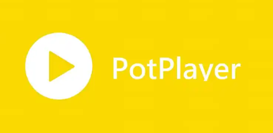 《PotPlayer》字幕字体设置方法介绍