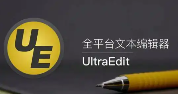 《UltraEdit》替换一样的开头操作方法介绍