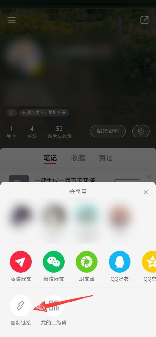 小红书个人主页链接怎么查看_小红书个人主页链接查看方法