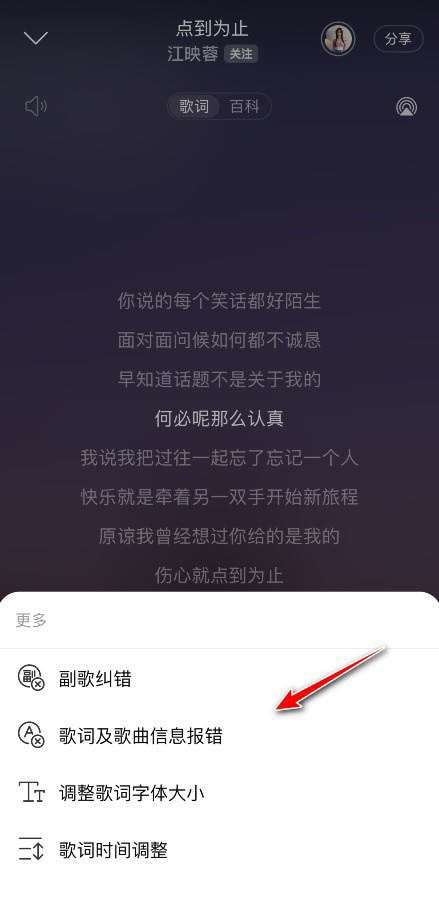 网易云音乐歌词怎么纠正