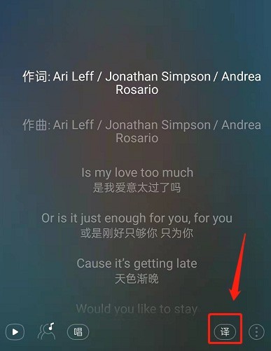 网易云音乐怎么关闭歌词翻译_网易云音乐关闭歌词翻译操作步骤