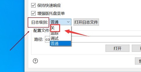 Snipaste怎么关闭日志级别 Snipaste关闭日志级别的方法