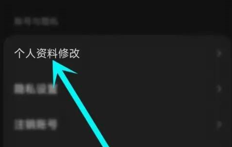 汽水音乐定位怎么设置