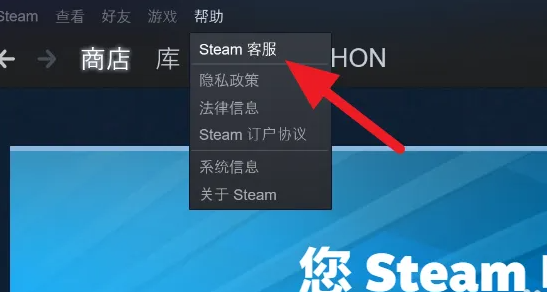 steam怎么查看历史登录ip