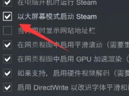 steam启动影片怎么设置