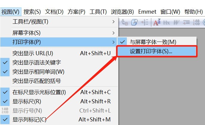 EditPlus打印文件字体怎么改_EditPlus设置打印字体技巧分享