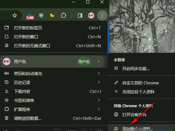 谷歌浏览器添加新的个人资料怎么操作