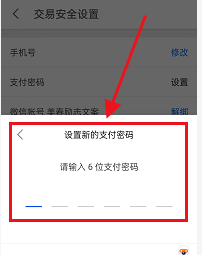 知乎怎么设置支付密码 知乎设置支付密码的方法