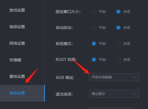 雷电模拟器怎么设置ADB调试 雷电模拟器设置ADB调试的方法