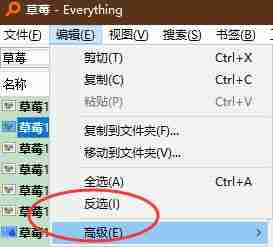 Everything怎么使用正则条件复制文件