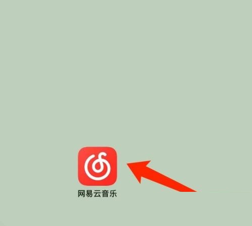 网易云音乐怎么管理音乐应用 网易云音乐管理音乐应用教程