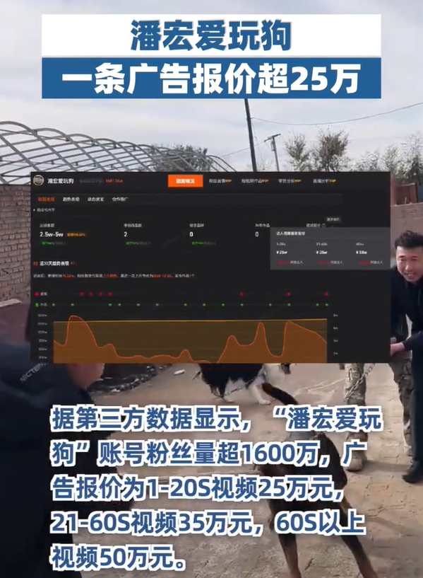 网红训狗师潘宏直播洗狗致犬只不适去世，事件引发争议；其广告报价高达50万元